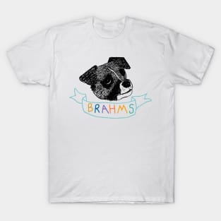 Lil Baby Brahms in Color T-Shirt